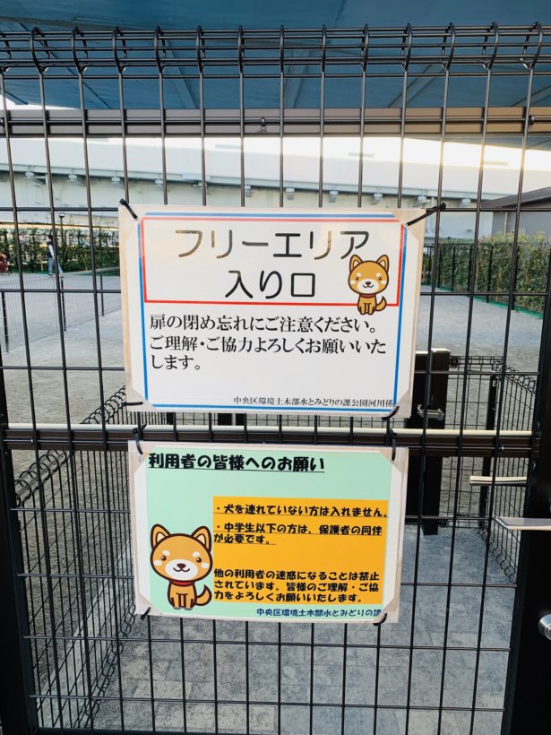晴海ドッグラン フリーエリア