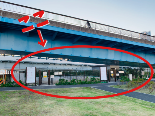 晴海大橋の下のドッグラン